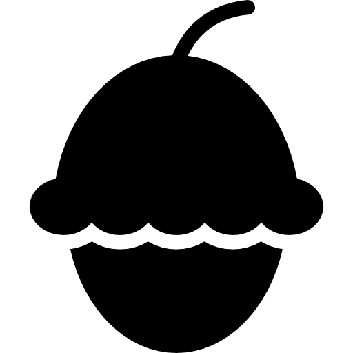 Nut organic seed food icon