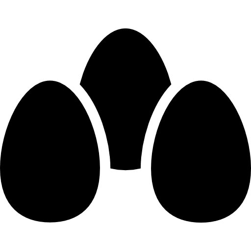 Eggs organic food egg icon