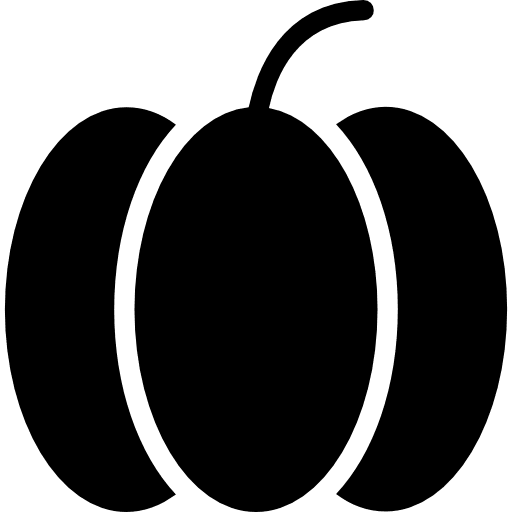 Pumpkin vegan vegetarian diet icon