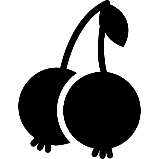 Cherries vegan healthy food cherry icon