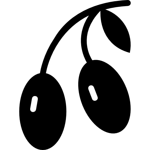 Olive food vegetarian vegan icon