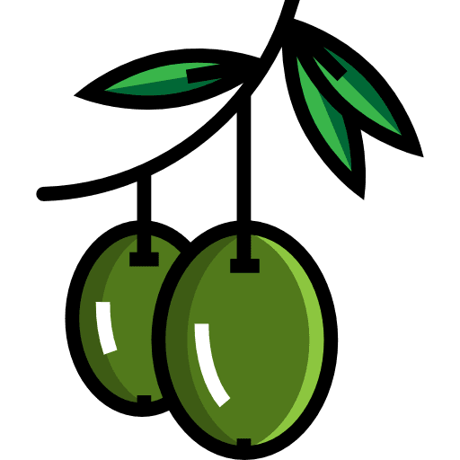 Olives healthy food organic olives icon