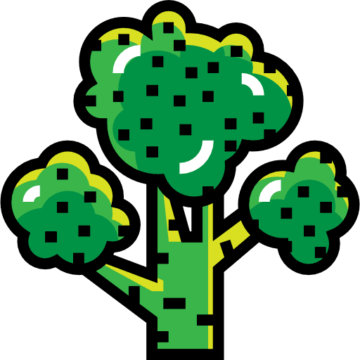 Broccoli organic vegan vegetarian icon