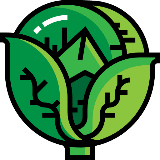 Cabbage vegetable vegan cabbage icon