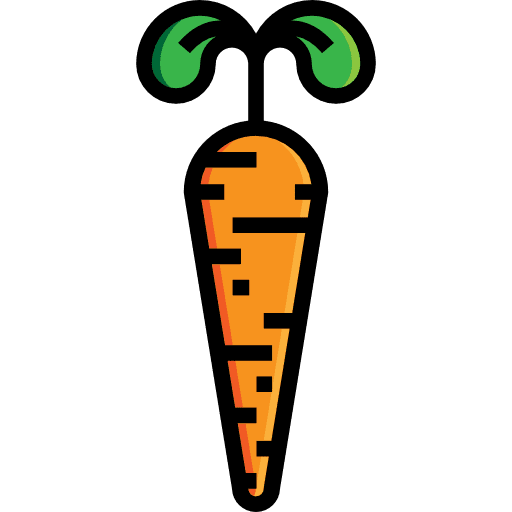 Carrot diet vegan healthy food icon
