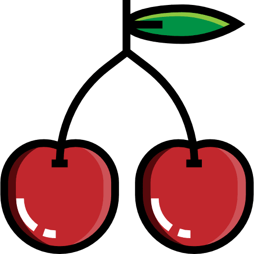 Cherries food fruit organic icon