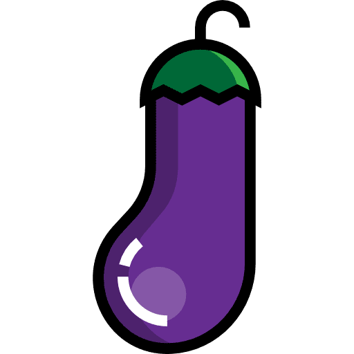 Eggplant vegetarian vegan organic icon