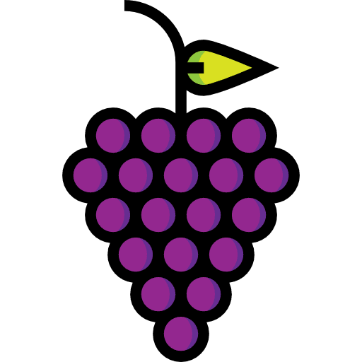 Grapes vegetarian diet organic icon