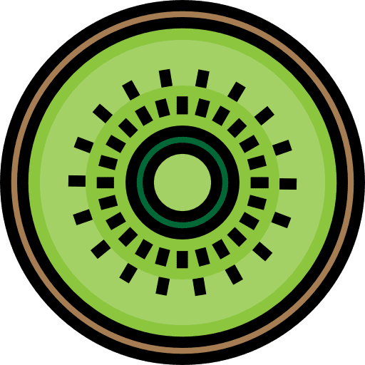 Kiwi vegan healthy food fruit icon