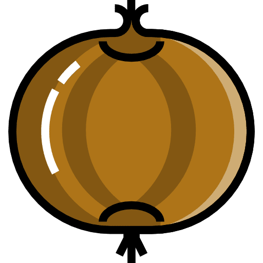 Onion vegetarian healthy food vegetable icon