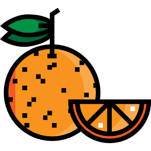 Orange diet healthy food fruit icon