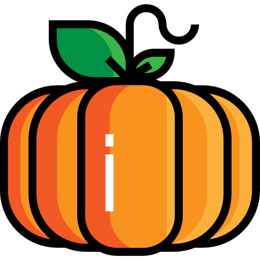 Pumpkin healthy food organic vegan icon