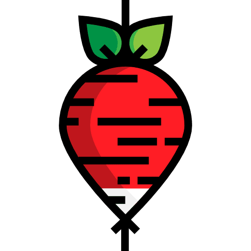 Radish food vegetable healthy food icon