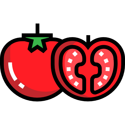 Tomato tomato vegetarian food icon