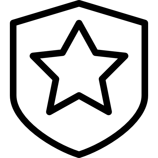 Shield shield weapons security icon