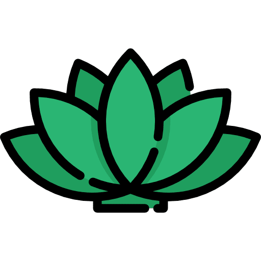 Agave mexican nature plant icon