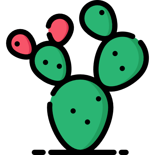 Prickly pear nature botanical prickly pear icon