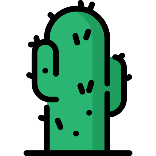 Cactus nature cactus dry icon