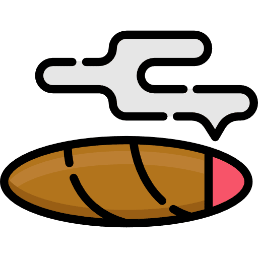 Cigar healthcare and medical smoker cigarette icon