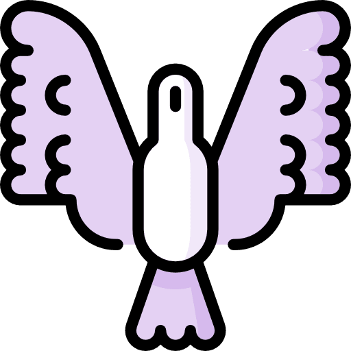 Freedom animal bird dove icon