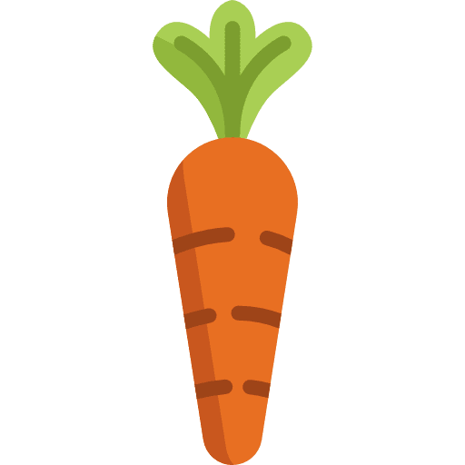 Carrot food vegetable organic icon