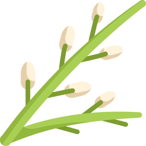 Willow nature botanical yard icon