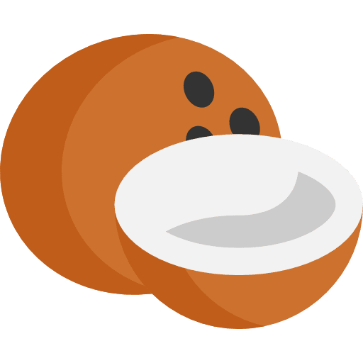 Coconut coconuts food coconut icon