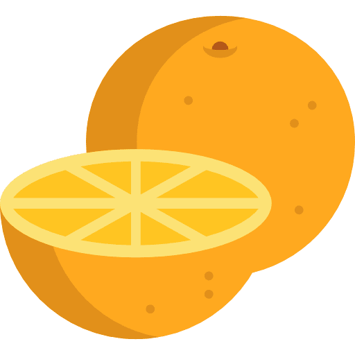 Orange organic food and restaurant fruit icon