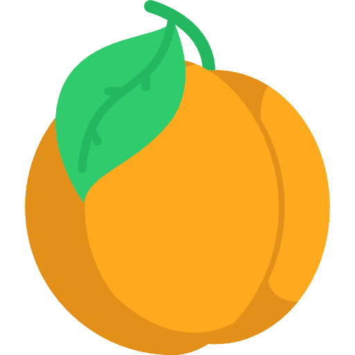 Peach fruit peach vegetarian icon