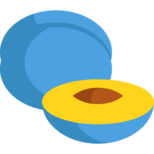 Plum fruit healthy food food icon