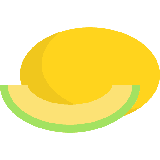 Melon diet organic food icon