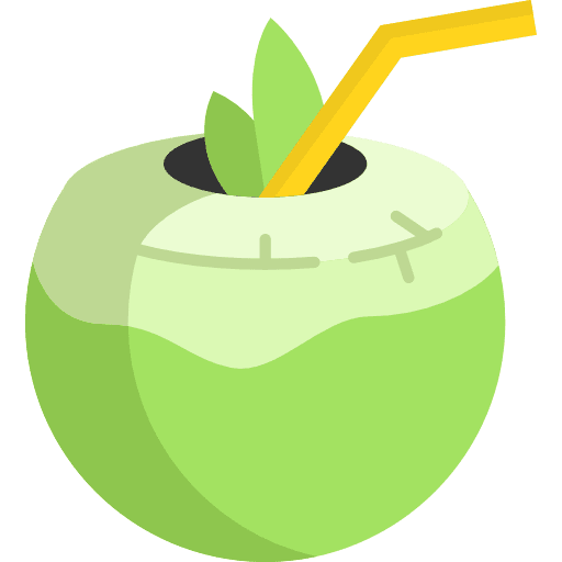 Coconut beverage food alcoholic drinks icon