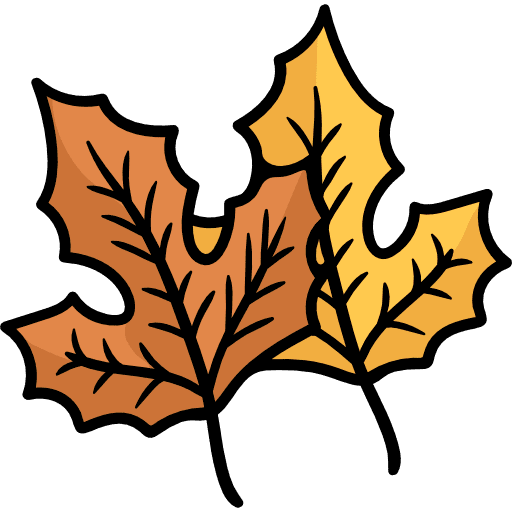 Maple leaf garden plant maple leaf icon