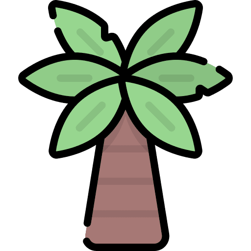 Palm tree summertime botanical summer icon