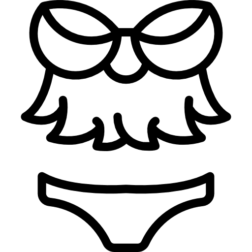 Lingerie fashion knickers bra icon