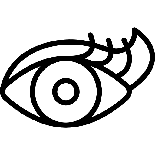 Make up cosmetics eyes eye icon