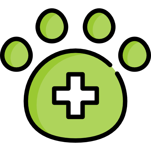 Veterinary check assistance veterinary icon