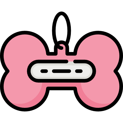 Collar pet cats collar icon