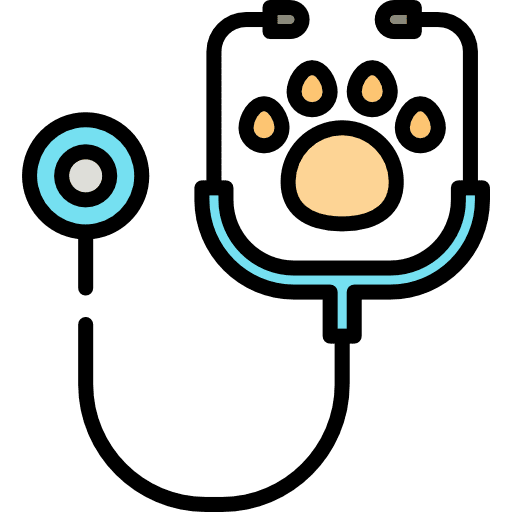 Stethoscope animal health phonendoscope icon