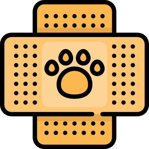 Band aid wound band aid health clinic icon