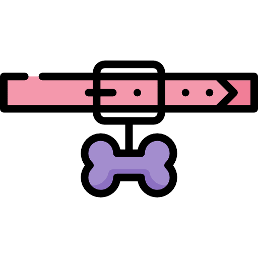 Collar pet dog collars icon