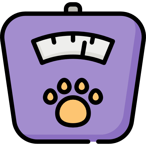 Scale weight scale animals icon