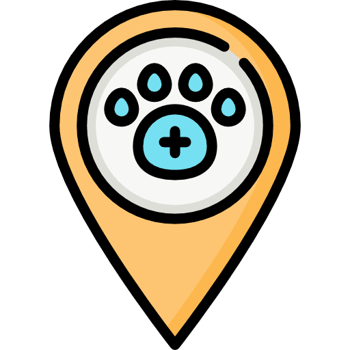 Veterinary healthcare and medical pet animals icon
