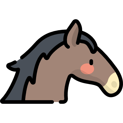 Horse riding animals sport icon