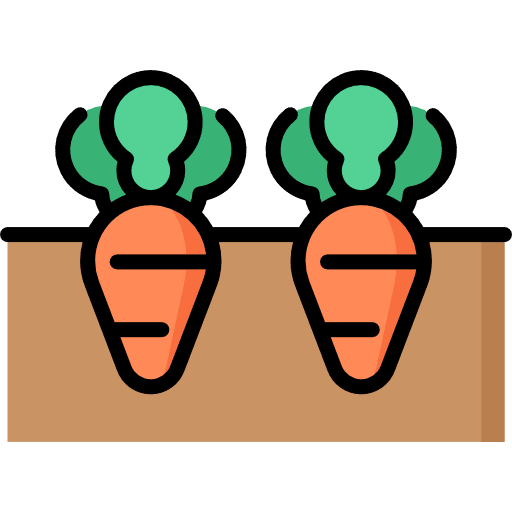 Carrot vegetable vegetables cooking icon