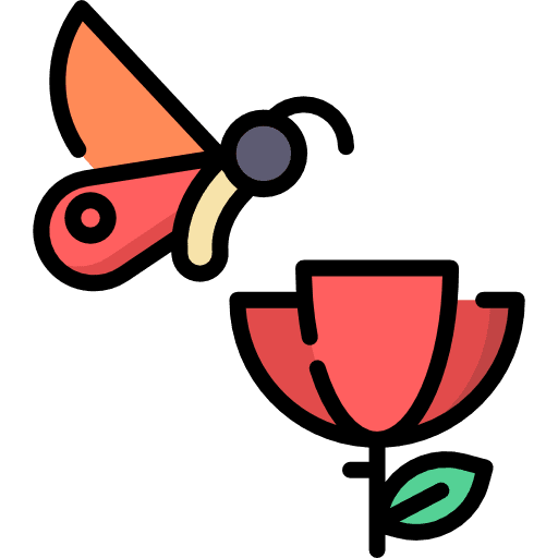 Butterfly butterfly animal farming and gardening icon