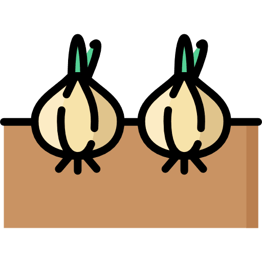 Onion onion cooking vegetable icon