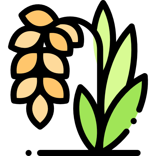 Rice cereals grain farming and gardening icon