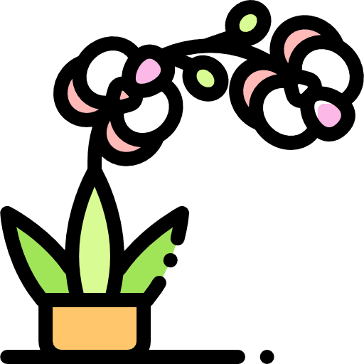 Orchid blossom orchid flower icon