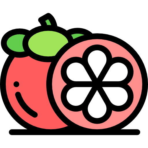 Mangosteen fruit vegetarian mangosteen icon
